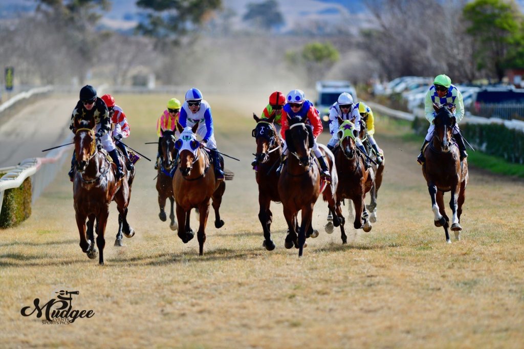 The Newhaven Park Country Championships