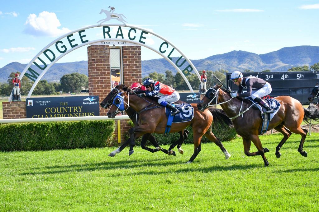 Horses racing across the finish line at Mudgee Race Club